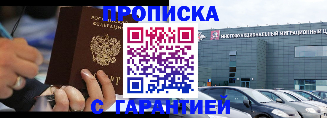 прописка для школы в Елизово